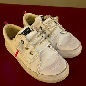 Toddler Sperry Shoes 8